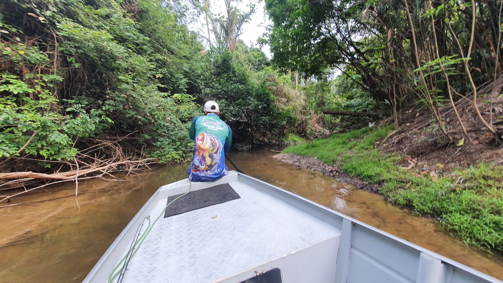 Angler at the bow of a boat entering a narrow forest creek